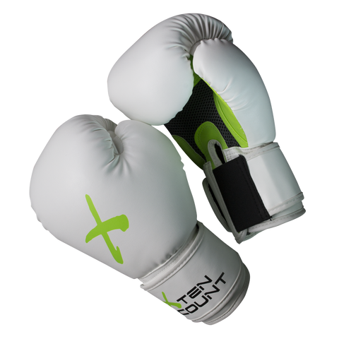 Pro Style Training Gloves